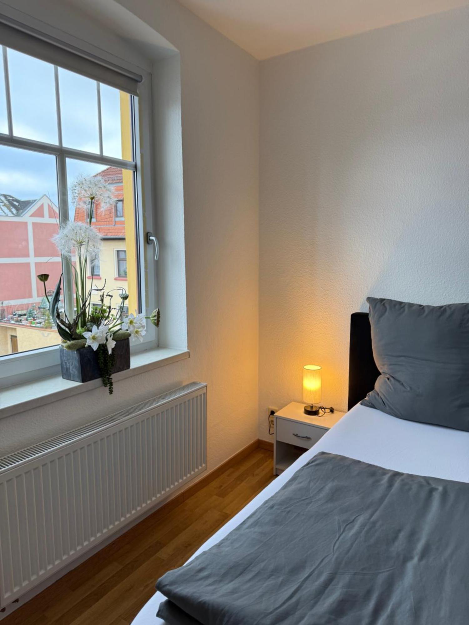 Goeltzschtal Apartment Mylau Kültér fotó